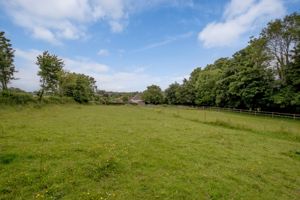 Field- click for photo gallery